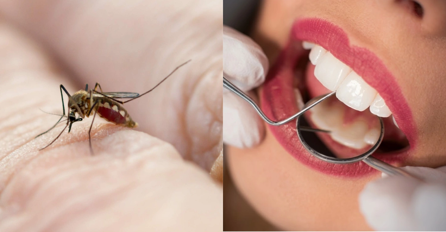 Does malaria affect the tongue inblog